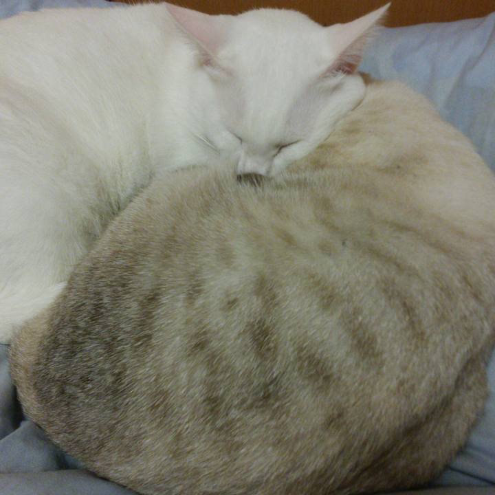 D330a554 ba0d 468f 8b83 60b4e478c1ed 1511707225584