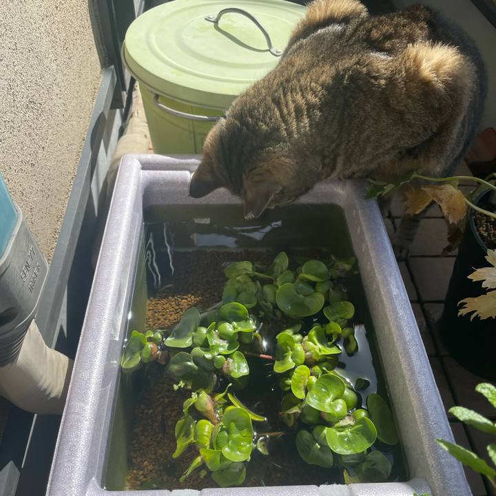 D330a8b8 3532 4737 9d9f 551c6dafaad7 1619755458042