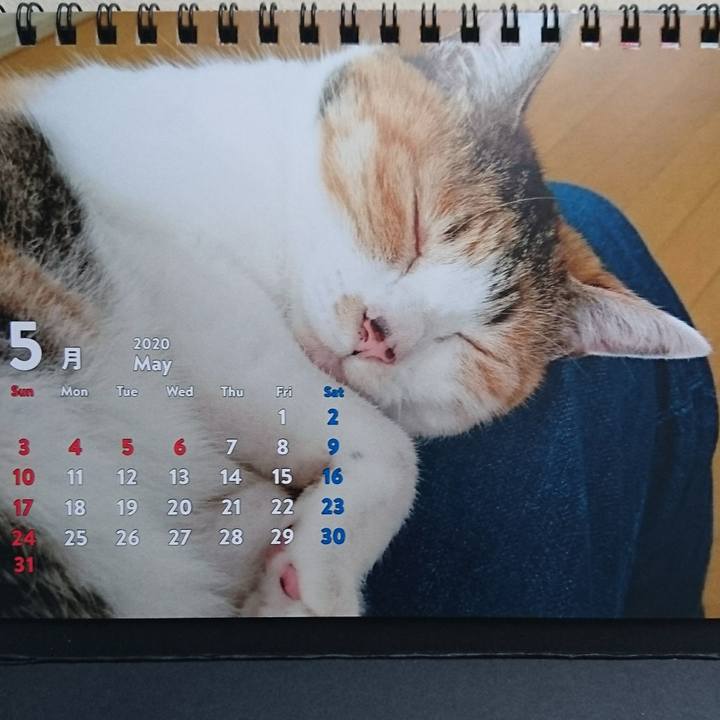 D330d695 883f 4573 82db 55d43f69eb51 1588658029470