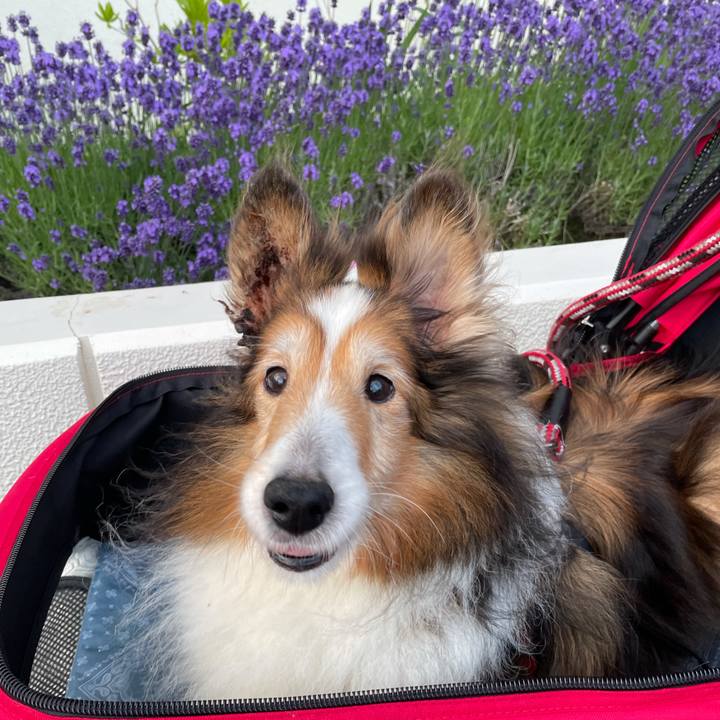 D330eded 2ba3 4907 b587 f8c2f105c43c 1625663357716