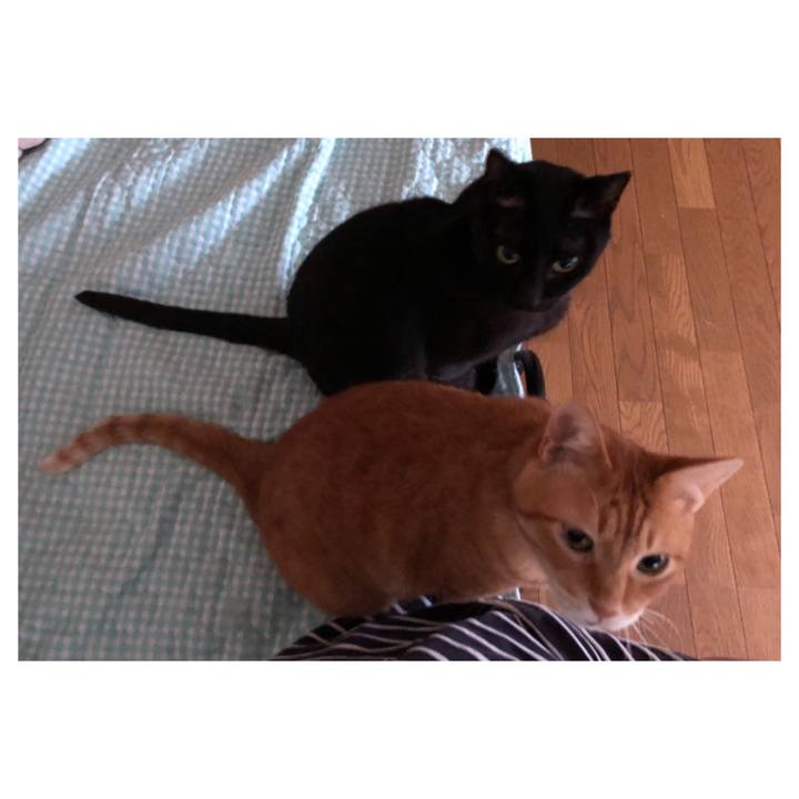 D3312872 f339 4745 ab94 85a936115eb5 1725656243589