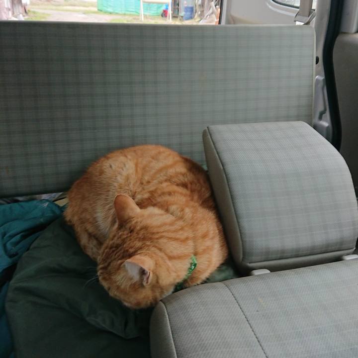 D3316d26 d2d4 4356 bd3c 495a52be51a6 1584777357336