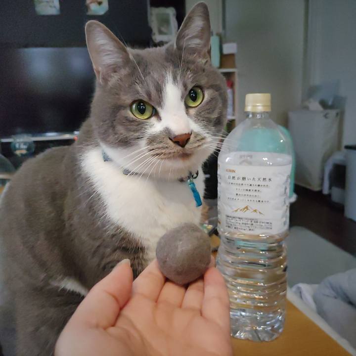 D3317ab3 dd57 4197 8836 3e2c750a8ecd 1680434293994