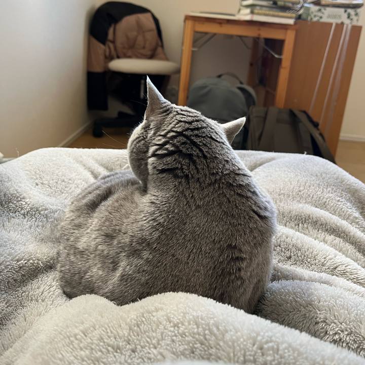 D3319904 e901 44b0 a16e fcdf0073db31 1773464090010