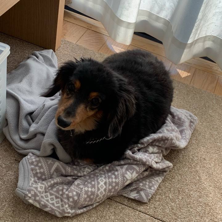 D331b9e3 2a89 40cf aecb 2fce579ed8a1 1557438486652