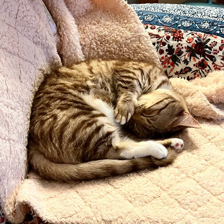 D331e7c7 dcc5 4d0b 8fac fb343be7f39f 1666787224179