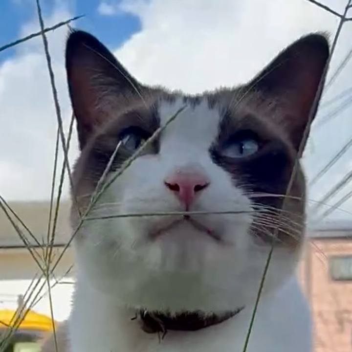 D331f829 1898 4994 a5dd 373091e6bed6 1757058235344