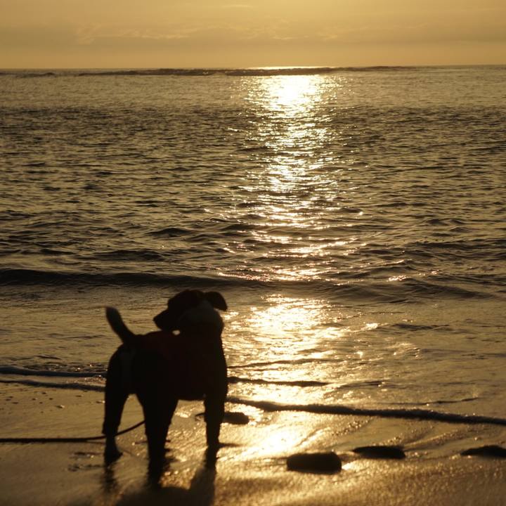 D3327532 e234 492c 97d1 97a9e8d15e39 1536015620486