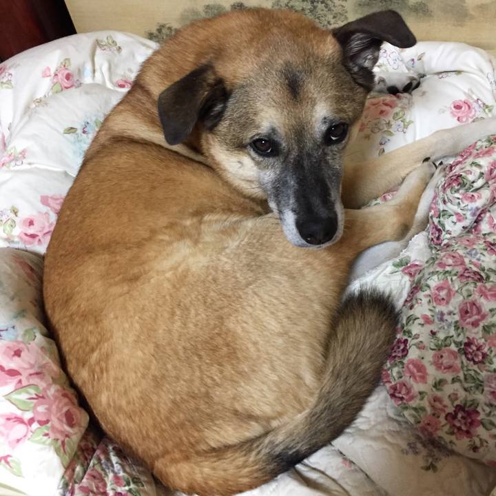 D3328996 2dd8 41ad b54e ce3d6fb5c59d 1509884390550