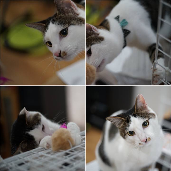 D332a167 59e8 408b 9cd8 ad1204b4283c 1527464142249