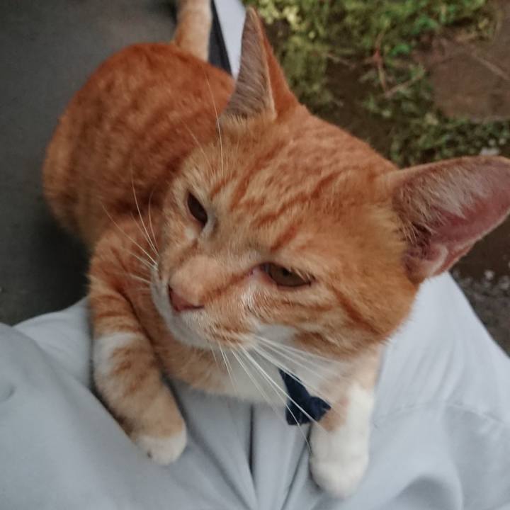 D3332835 f379 4ad8 8f9d 7db63e3922ef 1568192886854