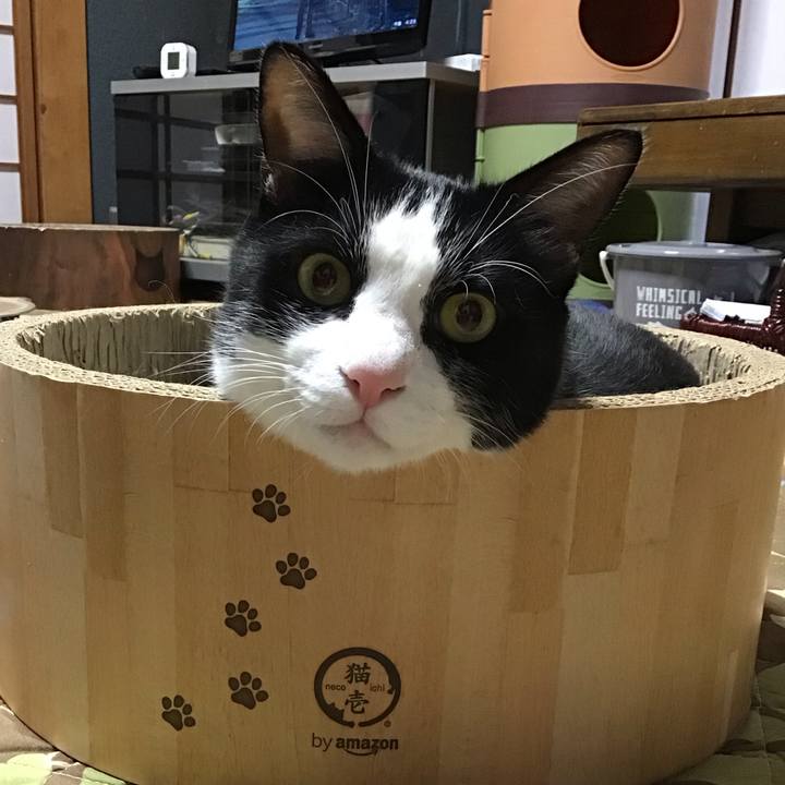 D3334a87 7c86 4513 9ece c429e6c02416 1732702214964