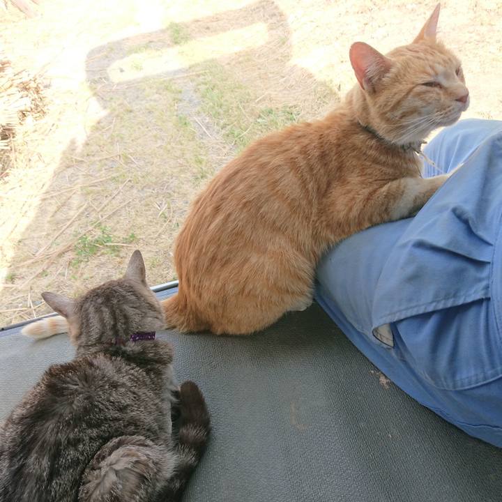 D3334f71 2159 4374 a993 6493320e6a48 1591433874726