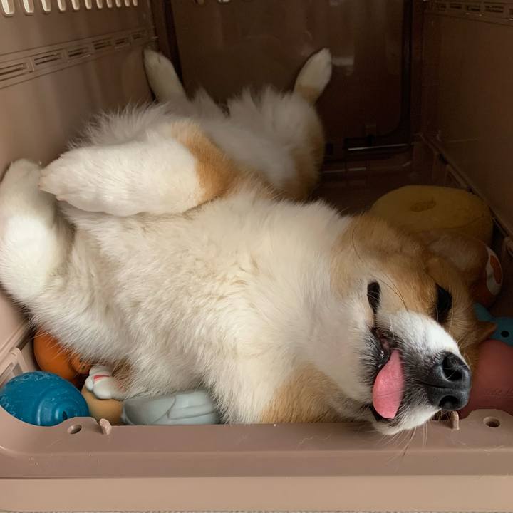 D3336071 da6f 4bb9 8cd0 f8d8f7b52ca2 1656204650041