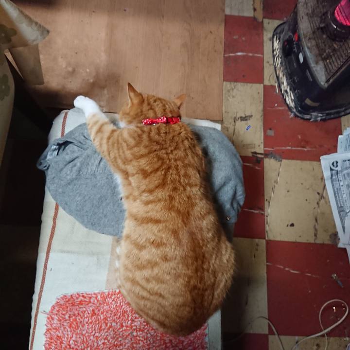 D3338b4c 1477 4e16 b53d 63304e3bb522 1577694175826