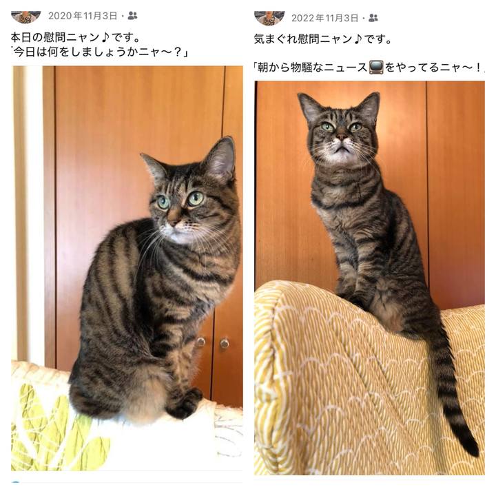 D33392c2 4f99 4963 b114 defc949059a7 1762124296361