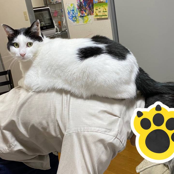 D333ad01 695d 47d1 bfe2 e8f667e55cb1 1643538150990