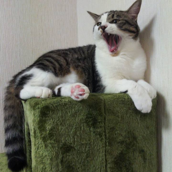 D333b1c7 54c7 4775 b8ce a30c34ef597d 1630230795299