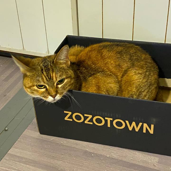 D33438c7 b222 444d 99a0 fd53077df539 1661117879661