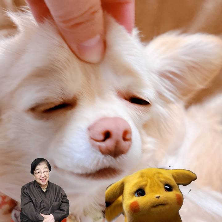 D3343e8d 259a 448f 9244 a4896a237dec 1673771595301