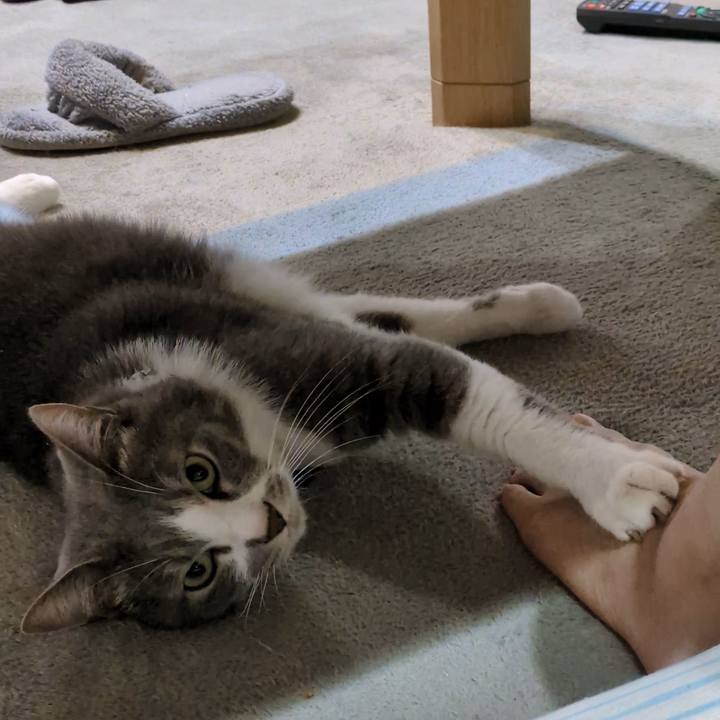 D3344dd3 37a8 4bc8 806b fd14ae967a6b 1758618802384