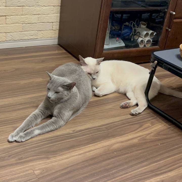 D3346b49 42ac 4843 8cf4 63de0c062db8 1739360446261