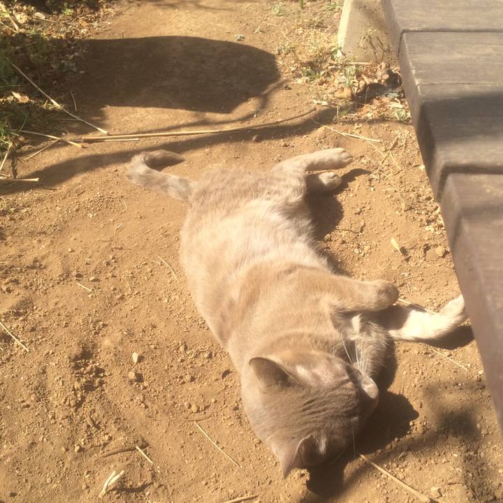 D33485e2 4934 4e1f a249 f730befef574 1552787496054