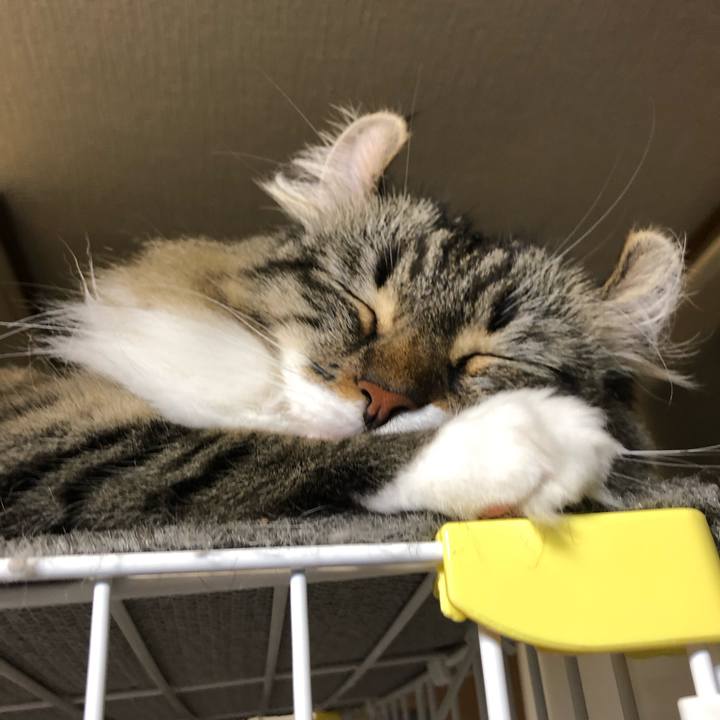 D334882a d058 4902 b723 8e9d8e7d9478 1566481002114