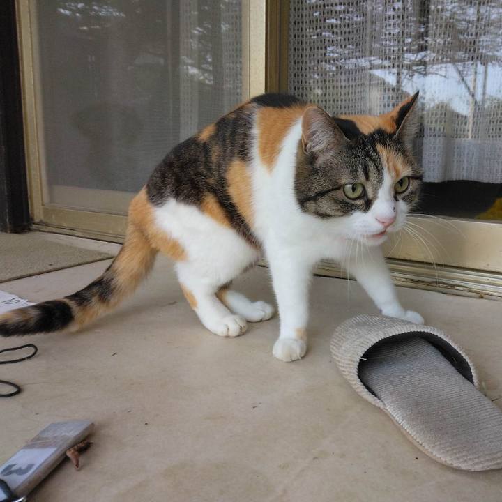 D3348eb4 b2ca 49e2 9a13 35bbbe9469f0 1680612452358