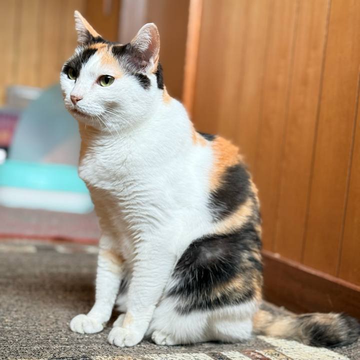 D3349a59 d863 49eb b196 f57328b11c7b 1728610081517