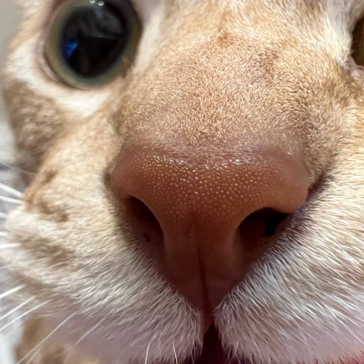 D3351fbf c4a1 436c a2af 7ead9ae64ed1 1678367610641