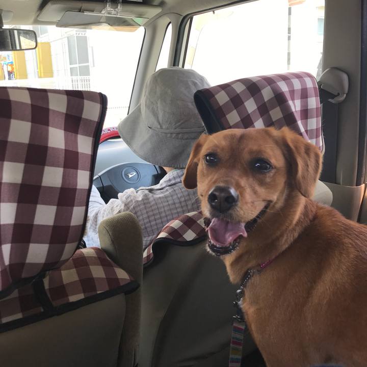 D3352e10 c18d 461a 8d18 43e0f57d6f3d 1557548996000