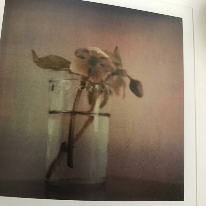 D33545de 5590 4d94 8137 569db131c743 1522478983205