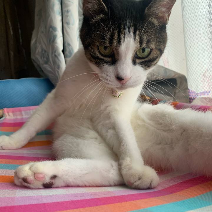 D3357f03 d1b6 4f0d 8088 8c04ffffd11a 1755922765176