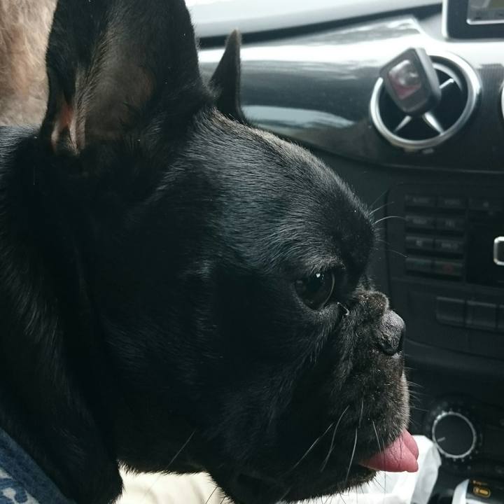 D3359464 ac40 483e 9287 e380ecddccdb 1529480647910