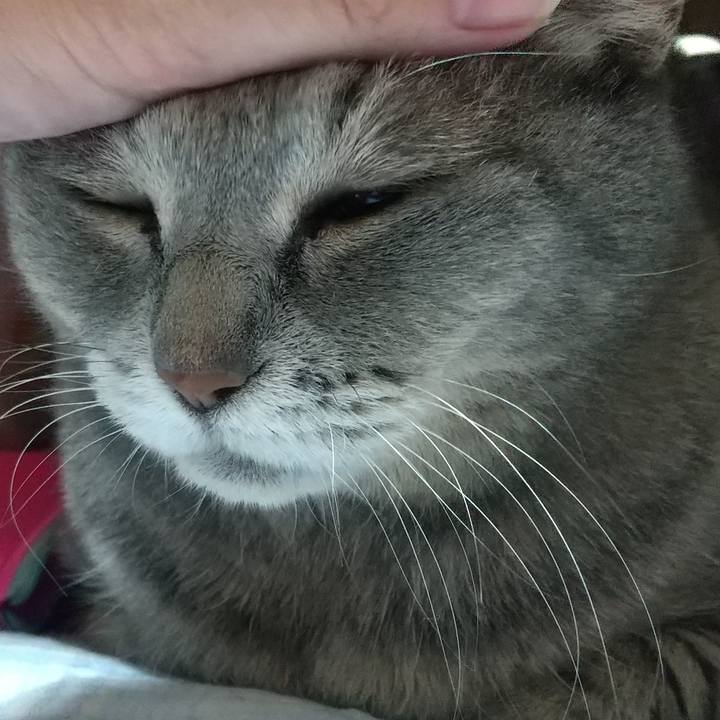 D335a092 0676 4f63 af6b 2a86cce2cf8d 1630257931186