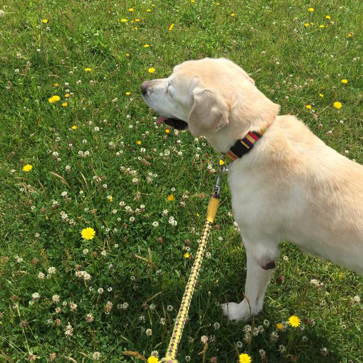 D335ab5a 098a 4f9d 8bc5 24f58ac365ab 1528161845407