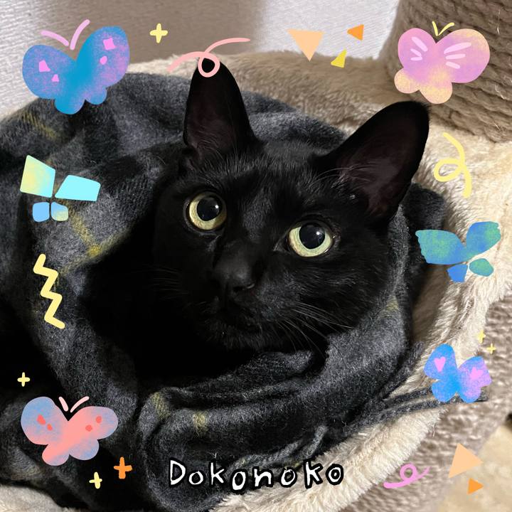 D335abf0 f516 4998 84a0 9d2a8e56e65a 1711434782477