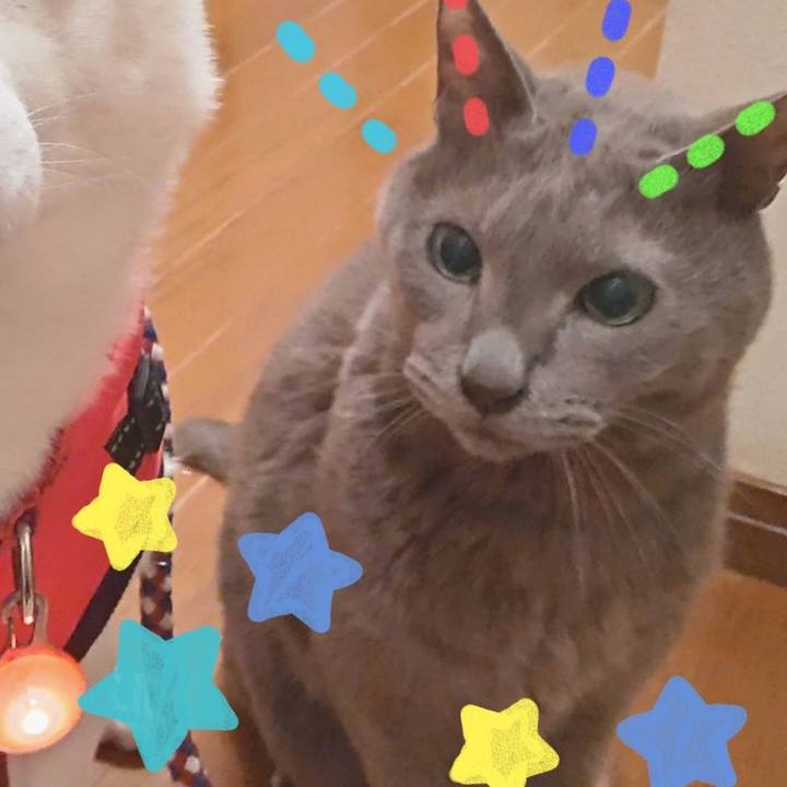 D335ac79 432f 458e 9903 b82b7c6d692e 1656382272902