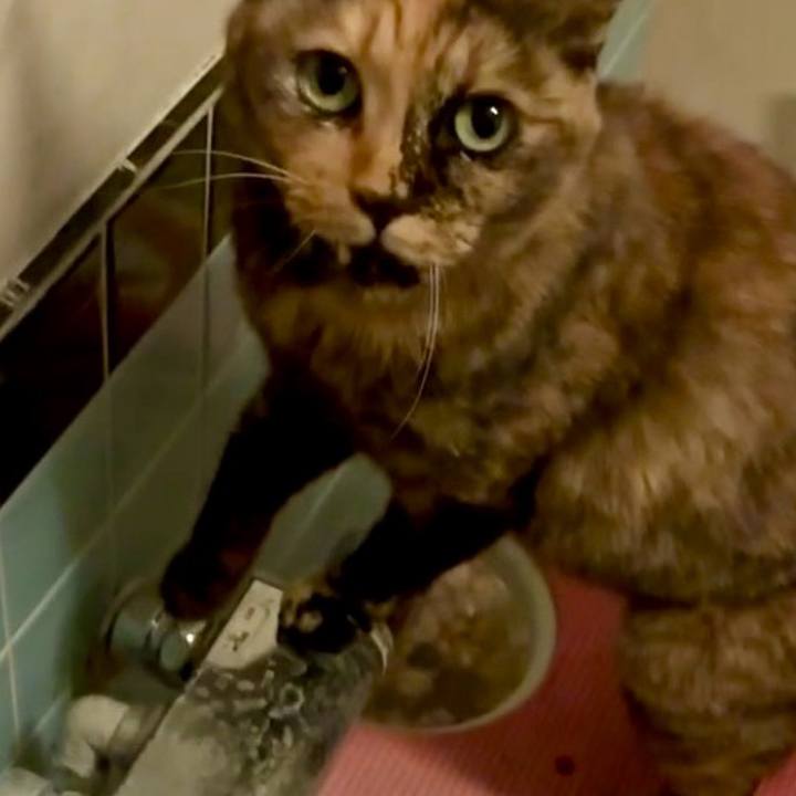 D335b291 36e3 49f4 8d99 39c8235382ae 1761337675650