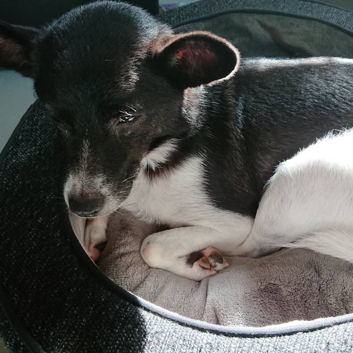 D335ccc2 a47e 4df7 936a 89780b09e5a0 1539821422133