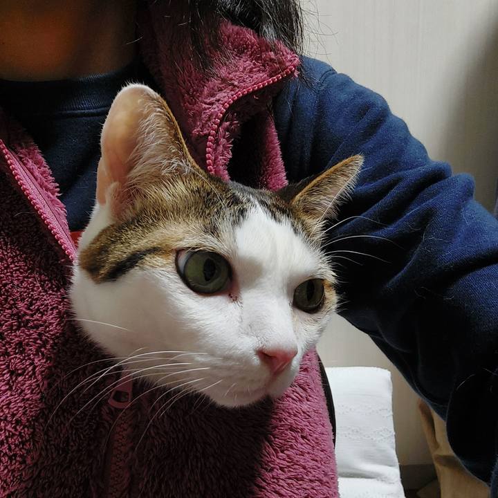 D336087b dfd0 4659 9bc9 b2e4e16eaa74 1643451537776