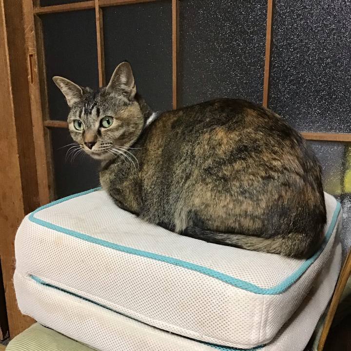 D3360dda 258e 4e7d 9d46 c39f736502d9 1650791985442