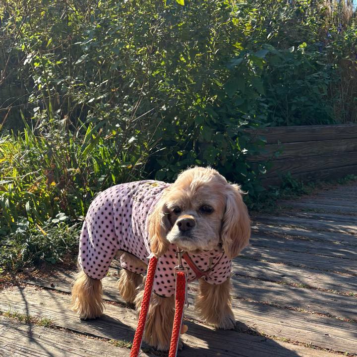 D3365512 7c7c 4f53 b0ba c5ca45779332 1765896887712