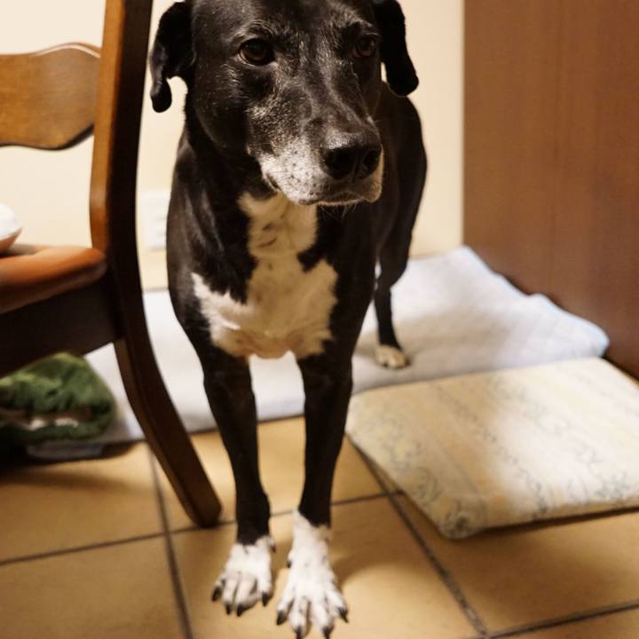 D3365ae5 4783 430a 8d45 0a4065a95a34 1757933824551