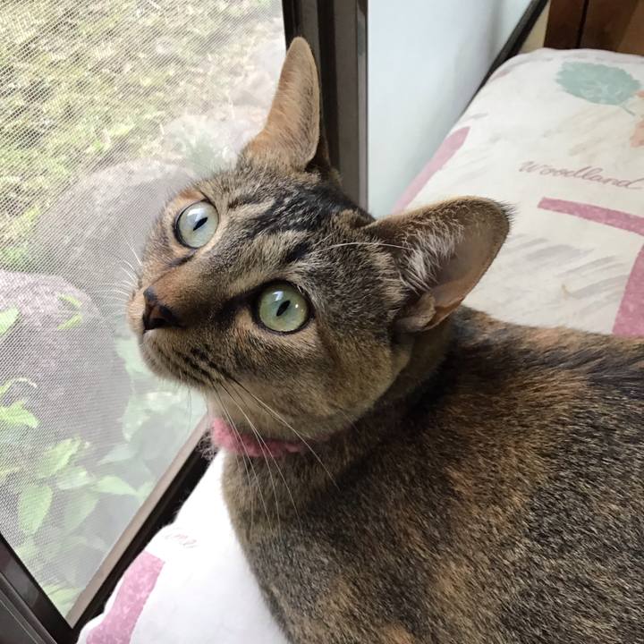 D3365ce5 d5df 44bb 9d37 0df3c4dadd4a 1595234013383