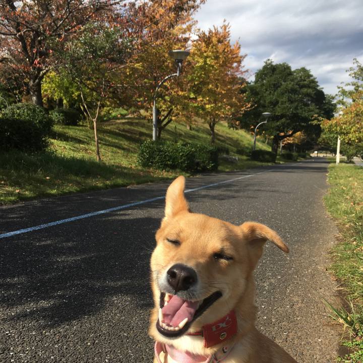 D33661b4 f478 43db 982c ff04cda48dd3 1509419162810