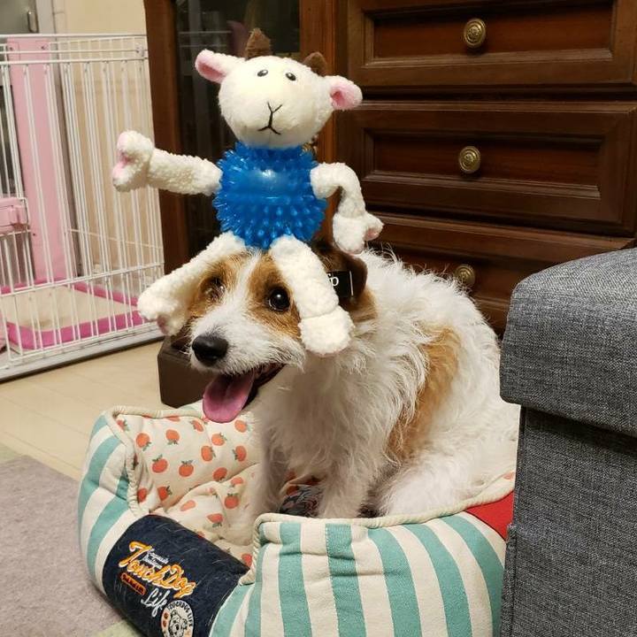 D3369849 eac4 4b36 a2e1 2e17f922cffd 1592050970366