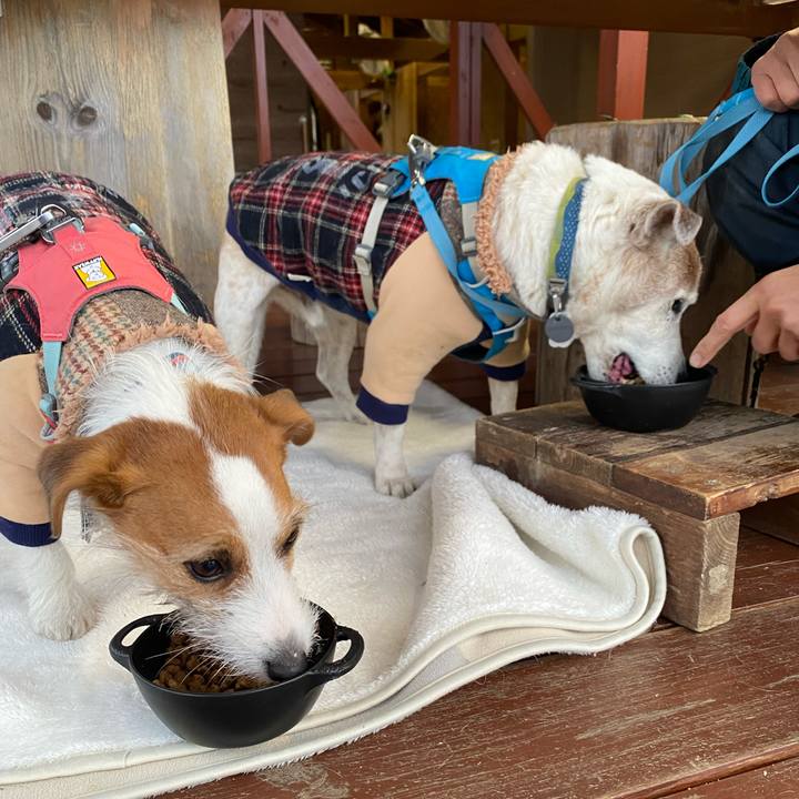 D336b46f 9cb3 4a89 8eb1 afd08fe64952 1704081375891