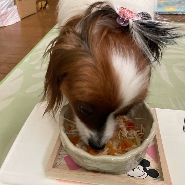 D336e007 b170 41c2 9ead 2ae42c0077ad 1631242932024